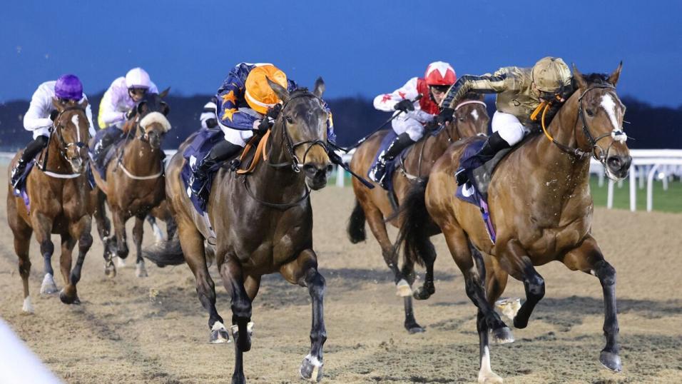 Newcastle Racing Tips Love Your Work ready to win again